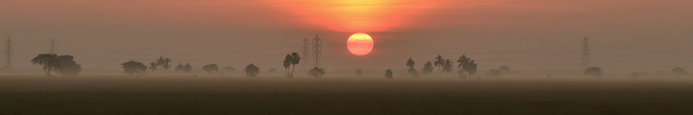 A very wide strip of misty horizon at sunrise, an orange sun low between silhouetted palms and trees over dark paddy fields